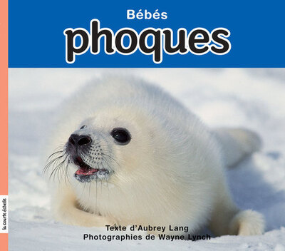 Bébés phoques - Neal Layton Marthe Pelletier Véronique Drouin Clem Martini Johanne Gagné Caroline Merola Mij Kelly Mij Kelly Caroline Merola Sylvain Meunier Jean Lemieux Bertrand Gauthier Sylvain Meunier L.M. Falcone Frank Asch Clem Martini Charlotte Gingras Charlotte Gingras Charlotte Gingras Charlotte Gingras Caroline Merola Johanne Gagné Aubrey Lang Aubrey Lang   - La courte échelle - 