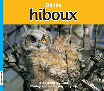 Bébés hiboux - Aubrey Lang Aubrey Lang Aubrey Lang   - La courte échelle - 