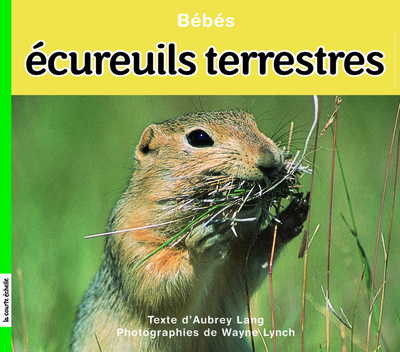 Bébés écureuils terrestres - Aubrey Lang Aubrey Lang Aubrey Lang Aubrey Lang   - La courte échelle - 